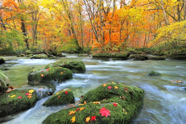 奥入瀬渓谷の紅葉 - るるぶトラベル